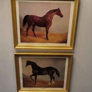 Framed Horse posters